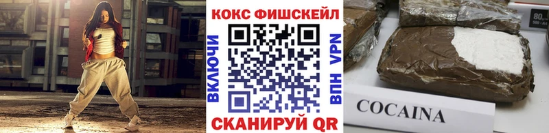 Cocaine Fish Scale  продажа наркотиков  Ладушкин 