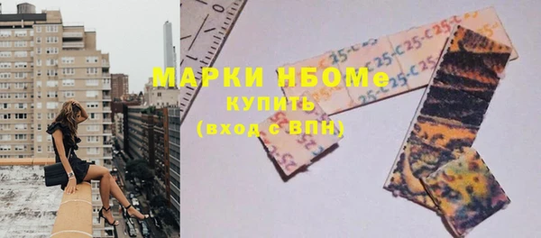 хмурый Кодинск