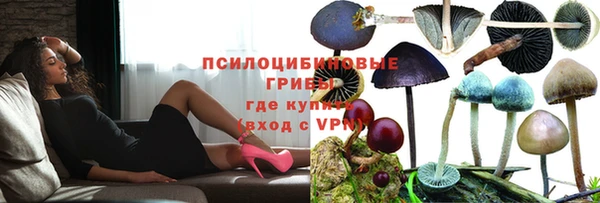 герыч Козловка