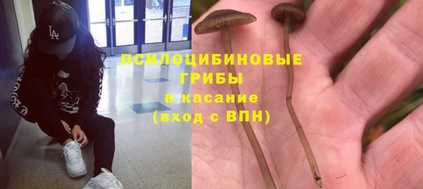хмурый Кодинск