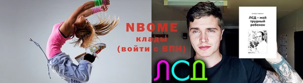 хмурый Кодинск