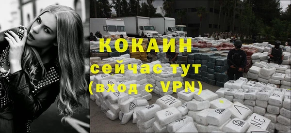 хмурый Кодинск